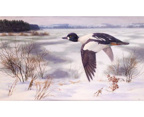 Raymond Booth (1929-2015)  “Golden Eye in a Winter Landscape” (1982)  Signed and dated 1982, oil on board, 44.5cm by 75cm  Ex