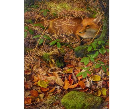 Raymond Booth (1929-2015)  “Autumn, A Fox Resting Amongst the Fallen Leaves” (2005)  Signed and dated 20(05), oil on board, 6