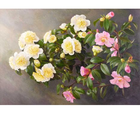 Raymond Booth (1929-2015) “Camellias Jurys Yellow and Wood Nymph" Signed and dated 1987, oil on board, 50cm by 72cm  Exhibite