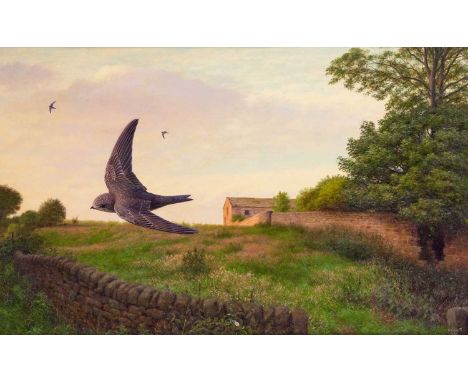 Raymond Booth (1929-2015) “Swift in a Landscape” (1980) Signed and dated 1980, oil on board, 38cm by 61.5cm  Exhibited : "Ray