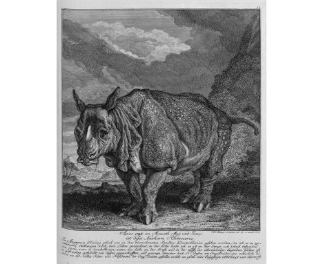 Ridinger, Johann Elias. I. (Genaue und richtige Vorstellung der wundersamsten Hirschen sowohl als anderer besonderlicher Thie