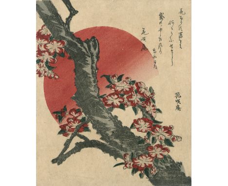 Hokusai, Katsushika. Sakura - Kirschblüte. Surimono. 21,2 X 17,5 cm. Edo (Tokio) um 1820 (wohl Druck der Meijizeit um 1868-19