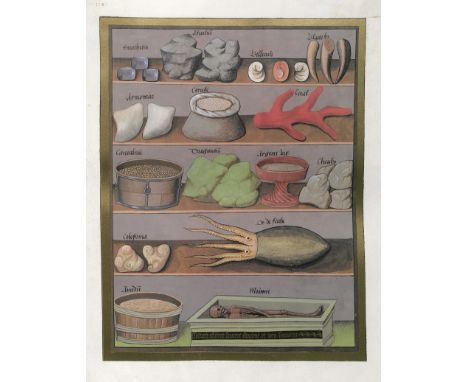 Libro de los medicamentos simples. Faskimile des Codex der Russischen Nationalbibliothek in St. Petersburg. 36 x 27 cm. Reich