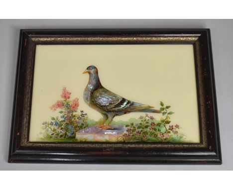 A Framed Late 19th Century Reverse Glass Painting of a Pigeon with Mother of Pearl Detail and Gilt Highlights, Frame 50x34cms