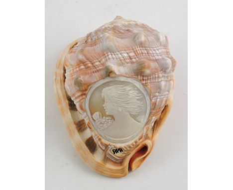 A conch shell cameo carved with a female portrait, monogrammed APA, L. 13cm.