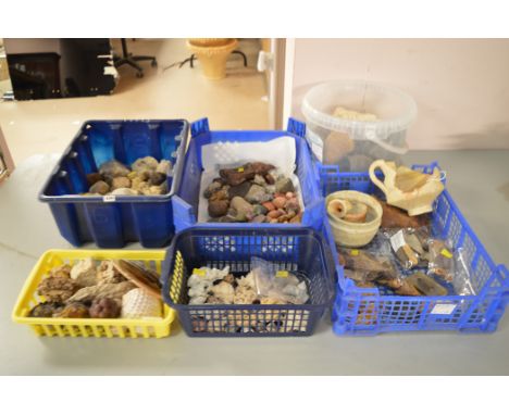Fossil and rock samples.  (qty)