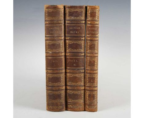 HUMPHREYS, Henry Noel and John Obadiah WESTWOOD. British Moths and Their Transformations. London: William Smith, 1843-1845. 2