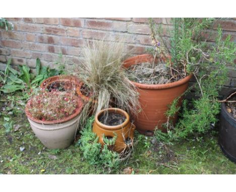 FIVE ASSORTED TERRACOTTA AND OTHER PLANTERS INCLUDING A STRAWBERRY PLANTER (5)