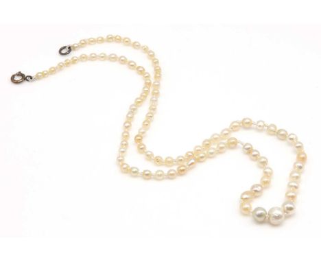 A single row graduated pearl necklace,with 90 pearls, 2.80 to 6.40mm in size, strung knotted to a bolt ring clasp. Pearls unt