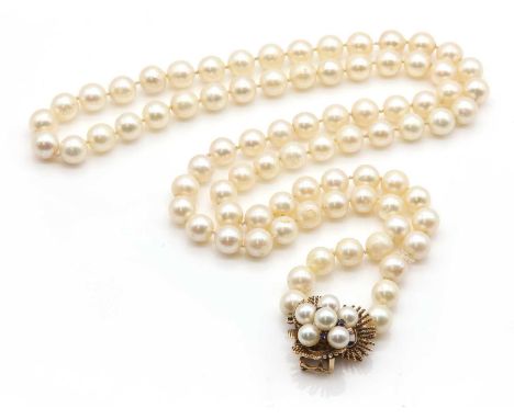 A single row uniform cultured pearl necklace,with a cultured pearl and sapphire spray cluster clasp, c.1950. Eighty one cultu