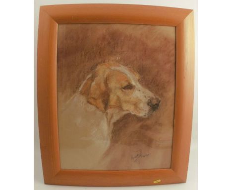 Anna Fraser, pastel, portrait of a hound, 18.5ins x 15ins