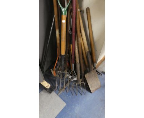 A Collection of Garden Tools 
