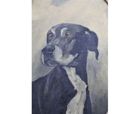 Oval gilt framed oil on canvas laid on card, portrait of a hound, bearing inscription verso ' Willy, W. H. Wheeler ' 