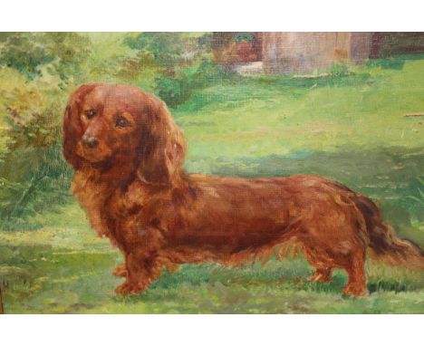 Arthur Bentley Connor signed oil on canvas, portrait of a Dachshund, 12ins x 16ins 