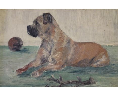 Oil on board, portrait of a bull dog, monogrammed V. W. ( Vernon Ward?), 6.5ins x 9.5ins 