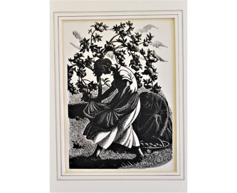 Clare Leighton, woodcut print, ' Picking Apples ', 8.25ins x 5.75ins, unframed 