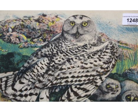 Limited Edition print No. 4 of 50, an owl and owlets by Timothy Greenwood, and another Limited Edition print No. 70 of 850, b