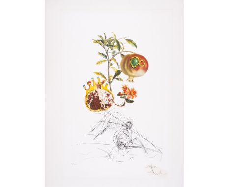 Salvador Dalí (1904-1989)Grenade et l’Ange from FlorDalí (Field 69-11L ; M&L 355)Photolithograph printed in colours with engr