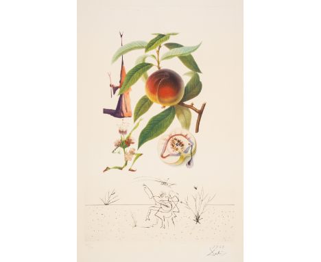 Salvador Dalí (1904-1989)Pêcher Pénitant, from Flordali (Field 69-11E; M&L 348c)Photolithograph printed in colours with engra