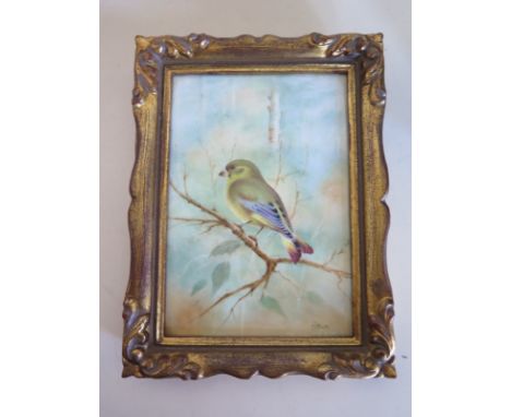 A porcelain hand painted plaque of a Green Finch by E R Booth Worcester, in a gilt frame - 18cm x 14cm - overall good conditi