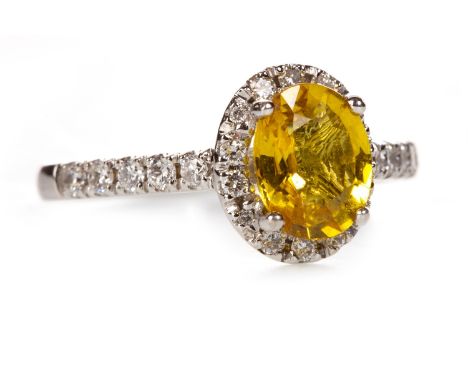YELLOW SAPPHIRE AND DIAMOND CLUSTER RING, set with a central oval faceted yellow sapphire 7.6mm long within a diamond halo, o