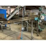 Discharge Conveyor