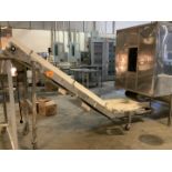 Stainless Transfer Conveyor