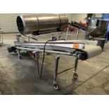 Discharge Conveyor