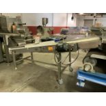 Feed to Oven Conveyor