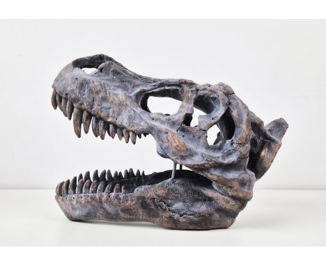 CONTEMPORARY T REX HEAD SCULPTURE, resin, 30cm H x 40cm.