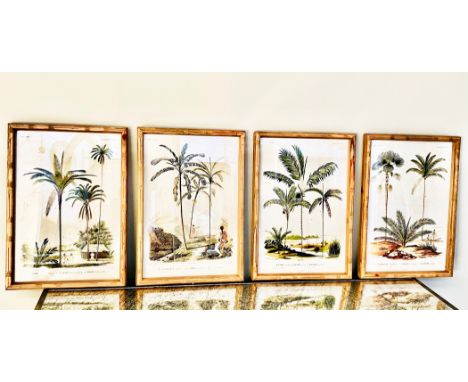 BOTANICAL PALM TREE PRINTS, a set of four, framed and glazed, 50cm H x 35cm W. (4)