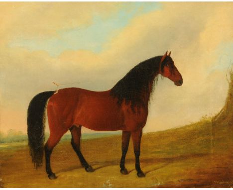Joseph Paul (1804-1887), oil on canvas of a horse.  47 cm x 59 cm, framed, signed and dated 1840. CONDITION REPORT: Unfortuna