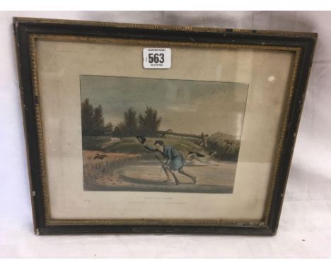 UNUSUAL EARLY 19THC HAND-COLOURED SPORTING PRINT BY HENRY ALKEN ENTITLED ''INNOCENT SPORT'' WITH GUNMAN DRIVING AWAY A HEN PA