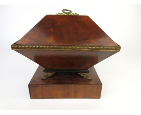 A 19th century and later mahogany tea caddy of unusual form, with lion mask handles, brass lion paw feet mounted on a rectang