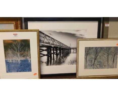 Laura Howell - Trees in Winter, photographic print, signed and numbered in pencil to the mount 2/25, 17x25.5cm, one other by 