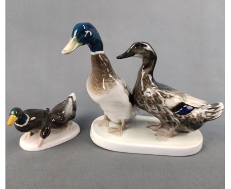 Zwei Entengruppen Rosenthal, Ente und Erpel auf ovalem Sockel, polychrom bemalt, 7x14x5,5 cm, Entwurf K. Himmelstoss, Stocken