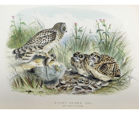 Booth (E T) Rough Notes on the Birds Observed During Twenty Five Years' Shooting and Collecting in the British Islands, illus