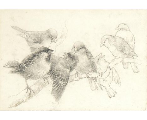 CHARLES HENRY CLIFFORD BALDWYN (1859-1943)  STUDY OF SEVEN BIRDS ON A BRANCH  pencil, 17.5 x 25cm++Laid down on the original 