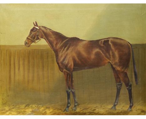 EDWARD CRAVEN (FL EARLY 20TH CENTURY) PORTRAIT OF THE HORSE "WISE MAIDEN" IN A LOOSE BOX signed, oil on canvas, 34 x 44cm++Re