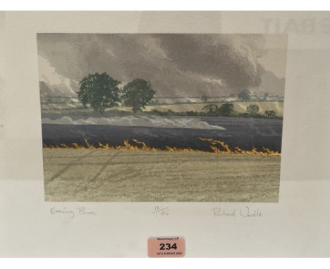 RICHARD WARDLE. BRITISH CONTEMPORY Evening Burn. Signed, inscribed and numbered 13/45. Screen print 7' x 9'