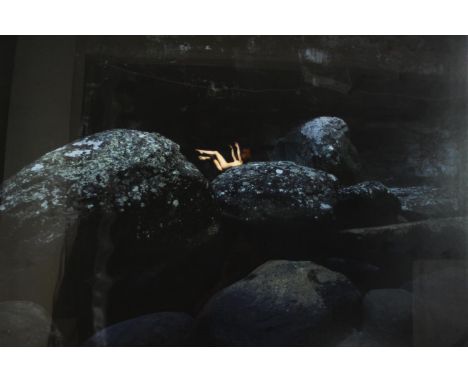 Toby Burrows, 'Fallen', limited edition C-type photographic print, label verso. H.124 W.154cm. 