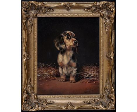 Valentine Thomas Garland(fl.1868-1903)Portrait of a miniature Dachshund,signed,oil on board,29 x 23cms; 11 1/2 x 9in.