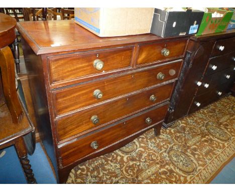 A Victorian Mahogany Chest of two short over three long graduated Drawers; moulded edge top over the five moulded front Mahog