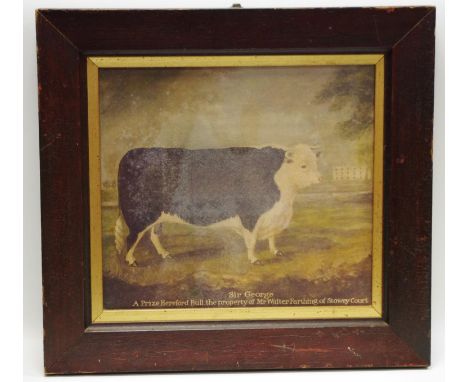 A Journey Man print - Sir George, a prize Hereford Bull of Mr. Walter Farthing of Stowey Court
