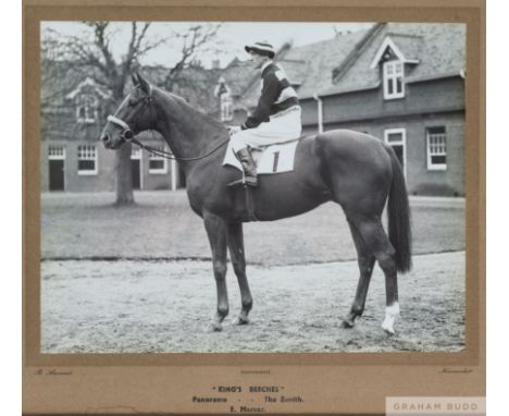 Photograph of the racehorse King's Beeches with the jockey&nbsp;Manny Mercer up,
by R Anscomb of Newmarket, b&amp;w 7 by 9in.