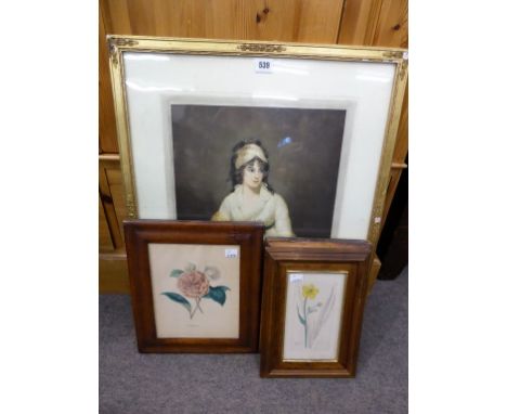 A 19th century coloured mezzotint portrait + 19th century fashion & botanical prints + folio of Spy prints (qty)