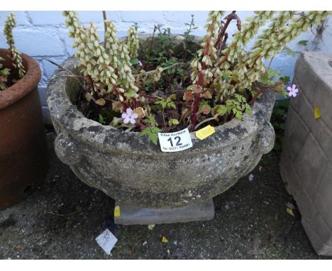 Decorative Concrete Garden Planter 