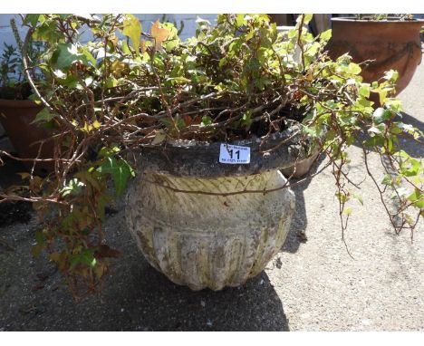 Decorative Concrete Garden Planter 