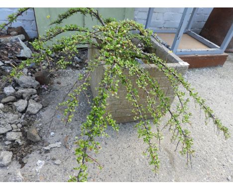 Concrete Garden Planter - Brick Form 
