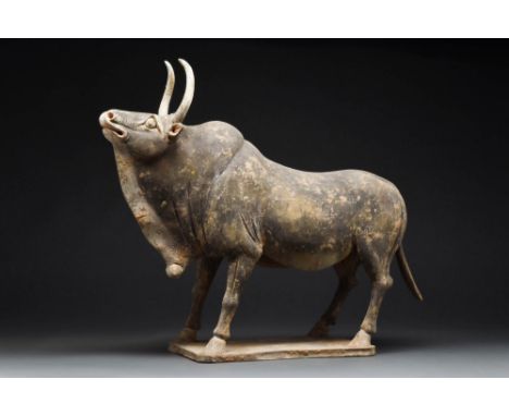 Northern Wei Dynasty, Ca. AD 386-534.
A terracotta ox. Standing on a rectangular plinth, the animal is depicted with its head